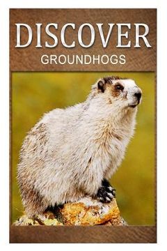 portada Groundhogs - Discover: Early reader's wildlife photography book (en Inglés)