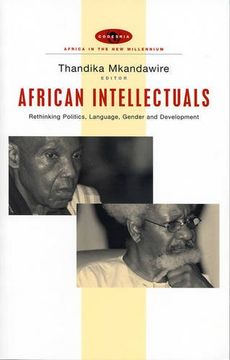 portada African Intellectuals: Rethinking Politics, Language, Gender and Development (Africa in the new Millennium) (in English)