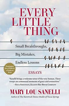 portada Every Little Thing: Small Breakthroughs, big Mistakes, Endless Lessons 