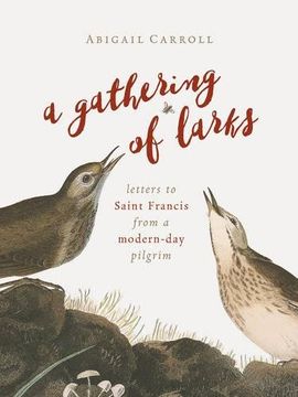 portada A Gathering of Larks: Letters to Saint Francis from a Modern-Day Pilgrim (in English)