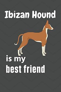 portada Ibizan Hound is my Best Friend: For Ibizan Hound dog Fans (en Inglés)