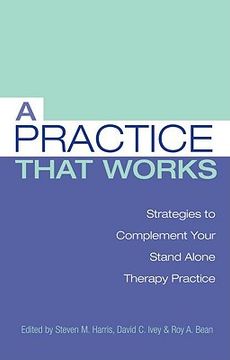 portada a practice that works: strategies to complement your stand alone therapy practice (en Inglés)