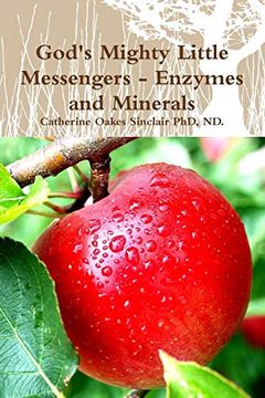 portada God's Mighty Little Messengers - Enzymes and Minerals