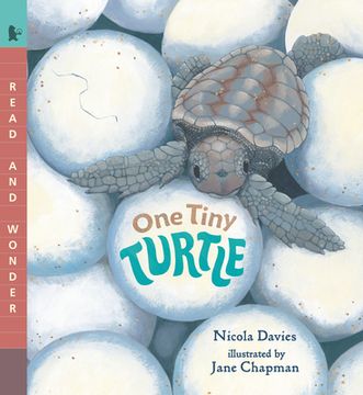 portada One Tiny Turtle: Read and Wonder (in English)