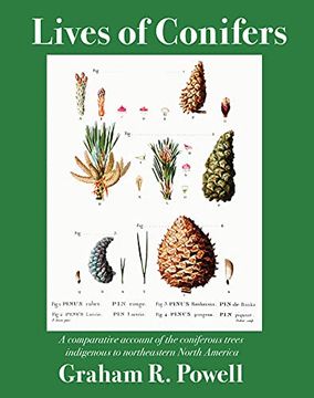 portada Lives of Conifers: A Comparative Account of the Coniferous Trees Indigenous to Northeastern North America (en Inglés)