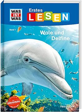 portada Was ist was Erstes Lesen, Band 1: Wale und Delfine: Was Sind Wale? Welche Wale Gibt es, was Fressen Sie? (en Alemán)