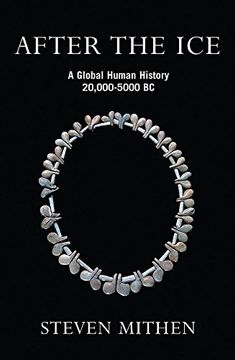 portada After The Ice: A Global Human History 20,000-5000 BC