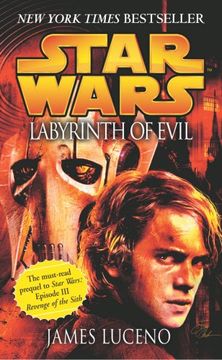portada Star Wars: Labyrinth of Evil (in English)