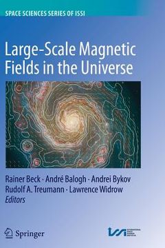 portada Large-Scale Magnetic Fields in the Universe (en Inglés)