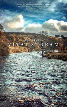 portada Vital Stream (en Inglés)