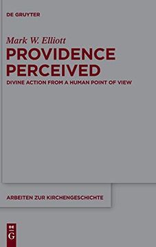 portada Providence Perceived: Divine Action From a Human Point of View (Arbeiten zur Kirchengeschichte) (en Inglés)