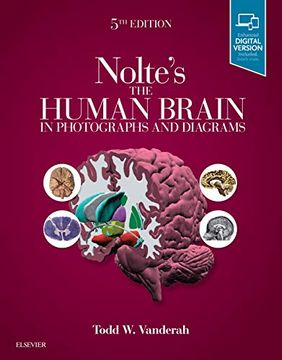 portada Nolte's the Human Brain in Photographs and Diagrams (en Inglés)