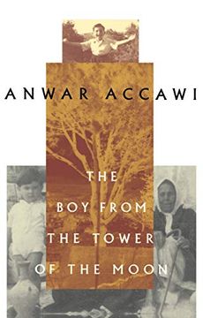portada The boy From the Tower of the Moon (en Inglés)