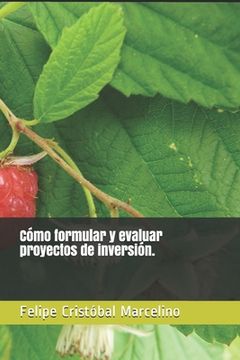 portada Cómo formular y evaluar proyectos de inversión. (in Spanish)