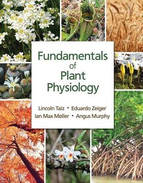 portada Fundamentals Of Plant Physiology (in English)