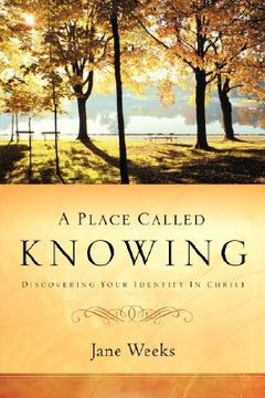 portada a place called knowing (en Inglés)