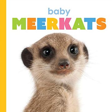 portada Baby Meerkats (en Inglés)