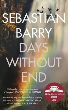 portada Days Without End