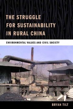 portada The Struggle for Sustainability in Rural China: Environmental Values and Civil Society (en Inglés)
