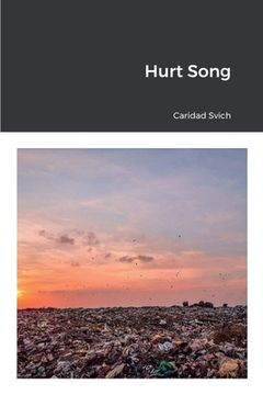 portada Hurt Song (in English)