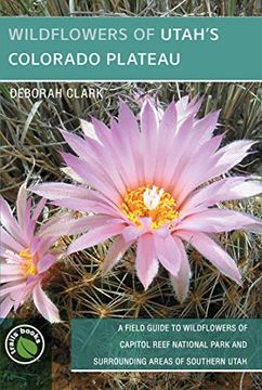 portada Wildflowers of Utah's Colorado Plateau: A Field Guide to Wildflowers of Capitol Reef National Park and Surrounding Areas of Southern Utah (in English)
