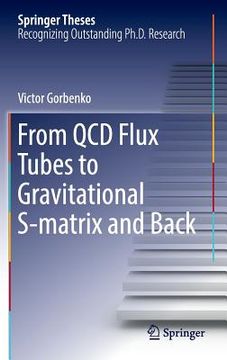 portada From QCD Flux Tubes to Gravitational S-Matrix and Back (en Inglés)