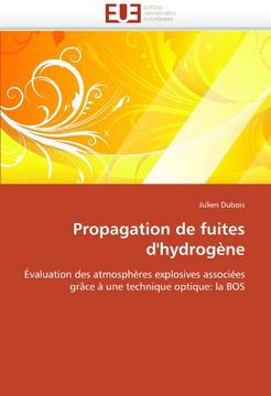 portada Propagation de Fuites D'Hydrogene