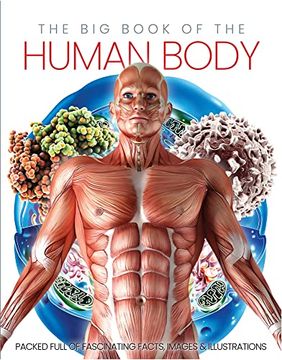 portada The Big Book of the Human Body (in English)