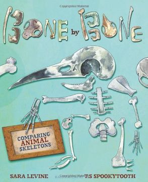 portada bone by bone: comparing animal skeletons