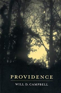 portada Providence (Literature & the Religious Spirit) (in English)