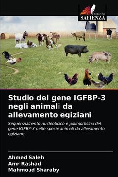 portada Studio del gene IGFBP-3 negli animali da allevamento egiziani (en Italiano)