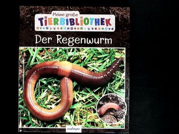 portada Der Regenwurm. Meine Große Tierbibliothek. Sachbuch für Vorschule & Grundschule. (en Alemán)