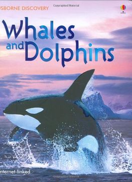 portada whales and dolphins