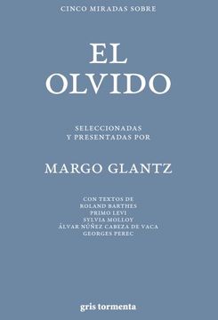 portada Cinco miradas sobre el olvido