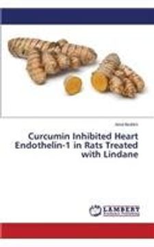 portada Curcumin Inhibited Heart Endothelin-1 in Rats Treated with Lindane