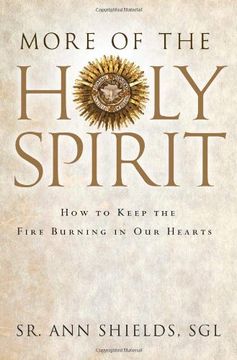 portada More of the Holy Spirit: How to Keep the Fire Burning in Our Hearts