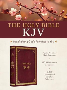 portada Holy Bible: Kjv Highlighting God's Promises to you - Crimson & Gold (en Inglés)