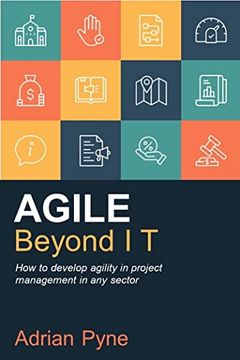 portada Agile Beyond it: How to Develop Agility in Project Management in any Sector (in English)