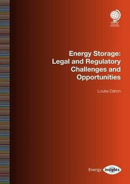 portada Energy Storage: Legal and Regulatory Challenges and Opportunities (en Inglés)