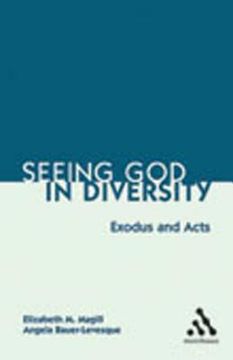 portada seeing god in diversity: exodus and acts (en Inglés)