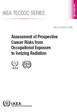 portada Assessment of Prospective Cancer Risks from Occupational Exposure to Ionizing Radiation: IAEA Tecdoc No 1985 (en Inglés)