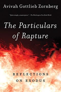 portada The Particulars of Rapture: Reflections on Exodus (en Inglés)