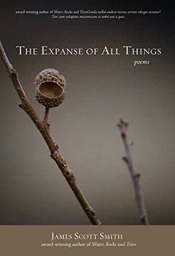 portada The Expanse of All Things