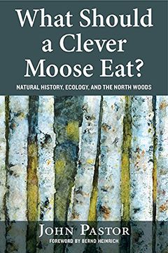 portada What Should a Clever Moose Eat? Natural History, Ecology, and the North Woods (en Inglés)