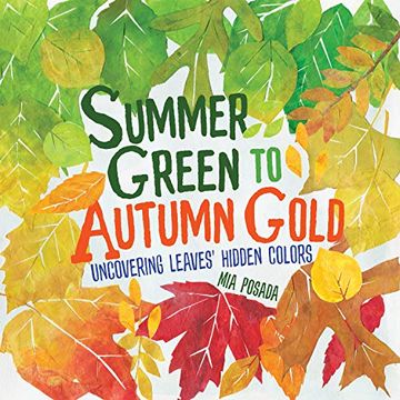 portada Summer Green to Autumn Gold: Uncovering Leaves' Hidden Colors (en Inglés)