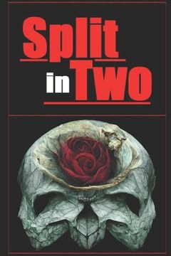 portada Split in Two