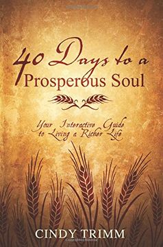 portada 40 Days to a Prosperous Soul: Your Interactive Guide to Living a Richer Life (en Inglés)