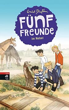 portada Fünf Freunde im Nebel (Einzelbände, Band 17) (en Alemán)