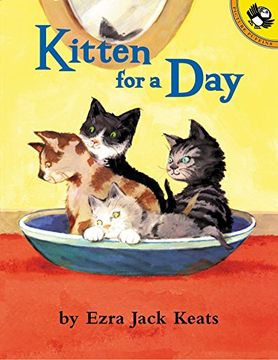 portada Kitten for a day (en Inglés)