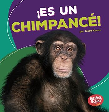 portada ¡Es Un Chimpancé! (It's a Chimpanzee!)